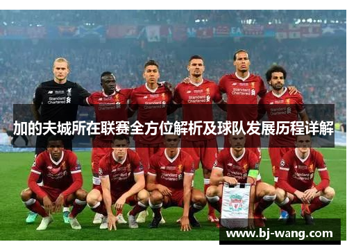 加的夫城所在联赛全方位解析及球队发展历程详解 加的夫城所在联赛全方位解析及球队发展历程详解