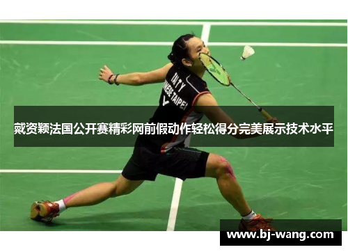 戴资颖法国公开赛精彩网前假动作轻松得分完美展示技术水平